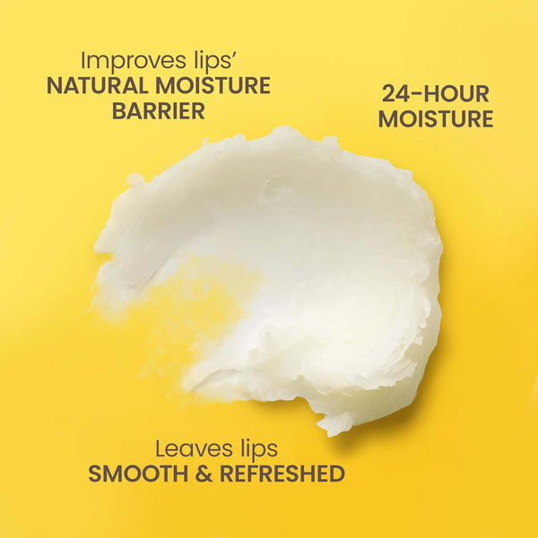 Burt's Bees 100% Natural Moisturizing Lip Balm (Original Beeswax) Beeswax 4