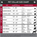 Buckle-Down 6-9" St. Pat'S Black/Green Plastic Clip Collar, Narrow Small 1/2" Wide - Fits 6-9" Neck - Small