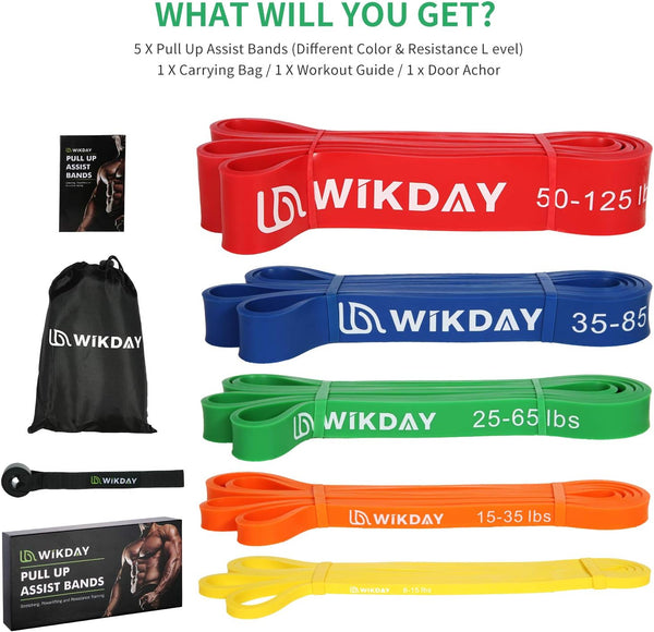 Resistance Bands, Pull up Bands, Workout Bands for Exercise, Thick Heavy Resistance Band Set with Door Anchor, Elastic Bands for Body Stretching,