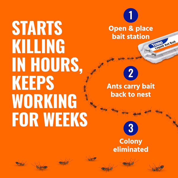 TERRO Ant Killer Bait Stations T300B - Liquid Bait to Eliminate Ants - 12 Count Stations for Effective Indoor Ant Control