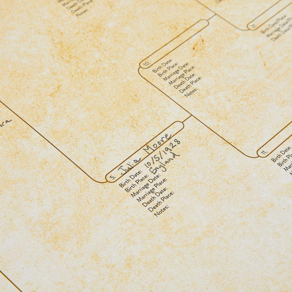 Okuna Outpost Family Tree Charts to Fill in - 8 Generation Genealogy Charts with 255 Name Spaces - Blank Family Tree Posters on Poster Paper for