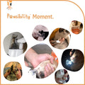 Pawsibility - Reinvented Pet Nail Clippers for Your Pal - USB Rechargeable LED Light for Bloodline | Razor Sharp and Durable Blade | Vets