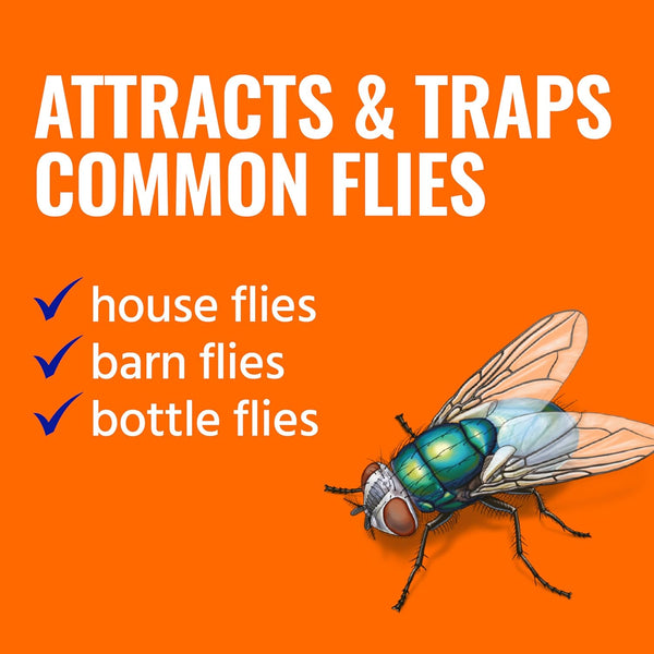 TERRO Fly Magnet Trap, Reusable Poison-Free Outdoor Fly Catcher with Bait | Kills House Flies, Barn Flies & Bottle Flies, Easy to Use Outdoor Fly