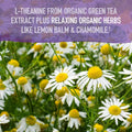 Garden of Life Organics Sleep Well Rest & Refresh 30 Tablets, Lemon Balm, Green Tea Extract L-Theanine, Valerian Root, Chamomile,
