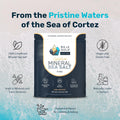 Baja Gold Mineral Sea Salt, Gary Brecka Choice, Fine Grind, 5 lb Bag | Unrefined Mineral Sea Salt, Trace Minerals, Naturally Lower Sodium,
