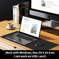 Vssoplor Wireless Mouse, 2.4G Slim Portable Computer Mice with Nano Receiver for Notebook, PC, Laptop, Computer (Black and Gold)