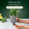 Lifelines Plant Diffuser with Essential Oil Blend - Modern Planter, Succulent - Rechargeable Aromatherapy Diffuser, Artificial Faux Plants Home &