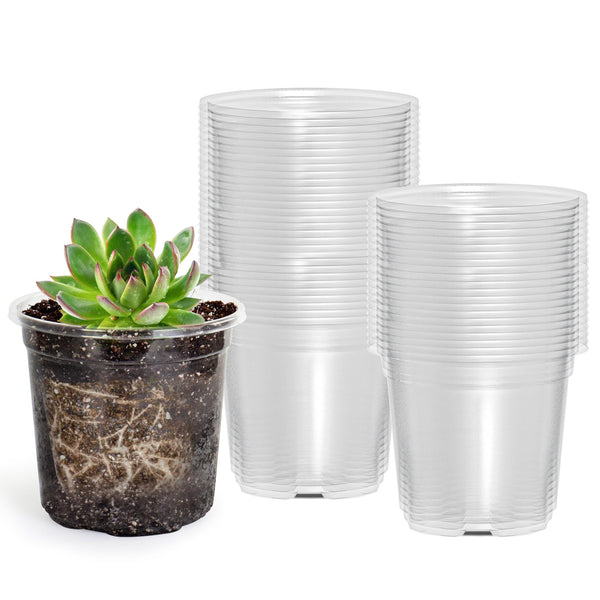 60 Packs 3.5 Inch Reinforced Clear Nursery Pots with Drainage Hole, Transparent Variety Pack Plastic Plant Pot Seedling Planter Seed Starter Flower