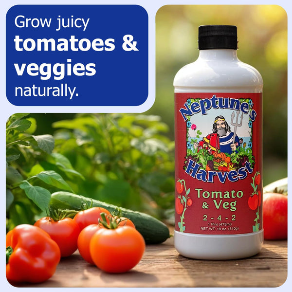 Neptune’s Harvest Organic Tomato & Vegetable Plant Fertilizer (2-4-2) - Liquid Plant Food w/Fresh Fish, Seaweed, Molasses, Yucca Extract, & Humic