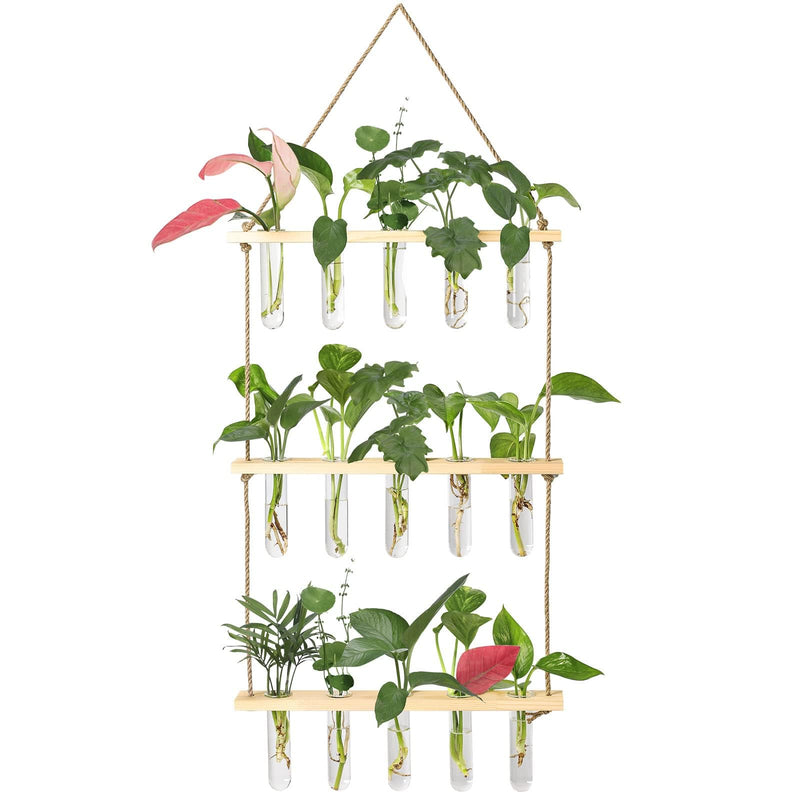 XXXFLOWER Wall Hanging Propagation Station with Wooden Stand 15 Tubes Beige 15 Tube Vases