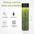 Danmu Glass Juice Bottles with Lids 16 Oz,Juicing Bottles Reusable Glass 100% Leakproof,Glass Bottles for