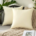 MIULEE Pack of 2 Decorative Outdoor Waterproof Pillow Covers Garden Cushion Sham Throw Pillowcase Shell for Spring Patio Tent Couch 16X16 Inch