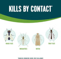 Ecologic Flying Insect Killer, 14 Ounces, Aerosol Formula Made With Cornmint Cinnamon And Clove Oil Kills Houseflies, Mosquitoes, Moths, Fruit