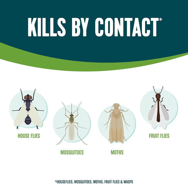 Ecologic Flying Insect Killer, 14 Ounces, Aerosol Formula Made With Cornmint Cinnamon And Clove Oil Kills Houseflies, Mosquitoes, Moths, Fruit