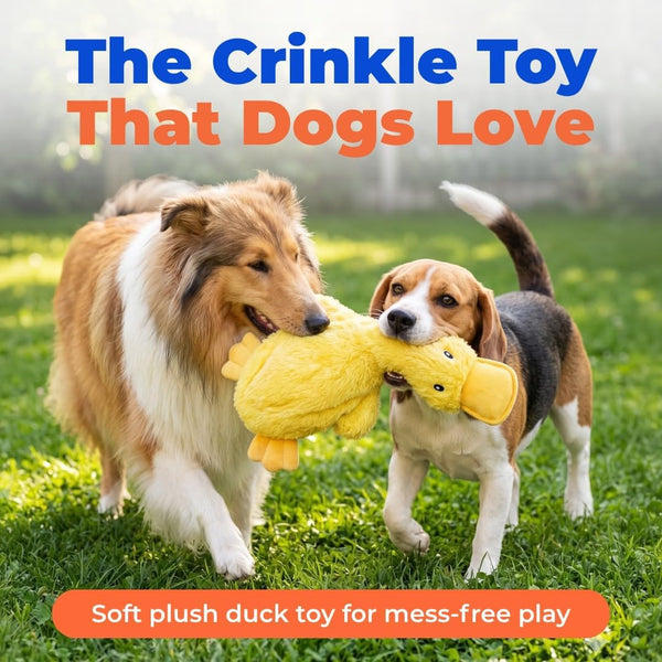 Best Pet Supplies Interactive Squeaky Dog Chew Toy, Ideal Dog Toys for Chewers, Small, Medium & Large Dogs, and Fetch Lovers - Crinkle Duck