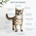 The Cat Ladies Cat Grass Refill Kit 100% Organic Cat Grass Seed and Coco Coir Soil Disks - 3 Pack