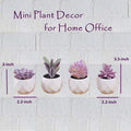 CADNLY Fake Succulent Plant Set - Artificial Desk Plants for Women Desk - Realistic Faux Succulents in Ceramic Pots - Mini Purple Decor for