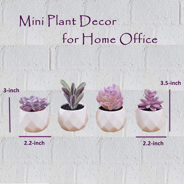CADNLY Fake Succulent Plant Set - Artificial Desk Plants for Women Desk - Realistic Faux Succulents in Ceramic Pots - Mini Purple Decor for