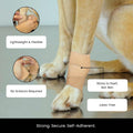 Juvale Cohesive Self-Adherent Bandage Wrap - Elastic Support for Sprains & Sports Tape - Vet Wrap for Horses & Dogs - Hand-Tearable Design & Grip