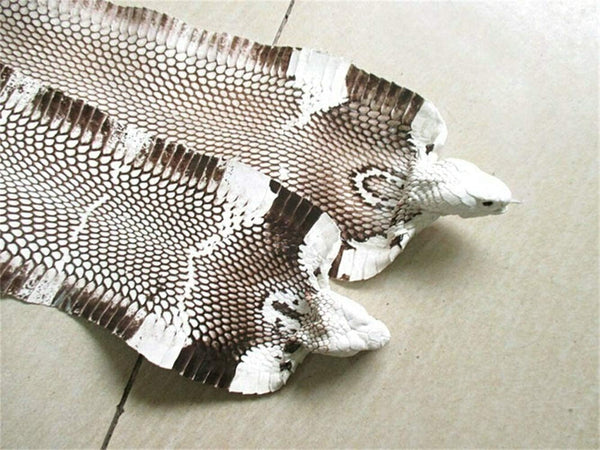 Cobra Snake Skin Snake Leather Hide Splitting Snakeskin with Head Cobra Taxidermy Real Snake Hide Natural 55 Length X5.5 Width Inches One Piece