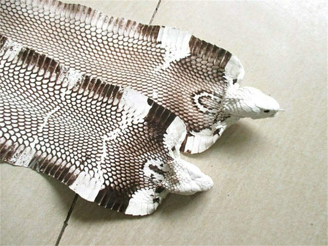 Cobra Snake Skin Snake Leather Hide Splitting Snakeskin with Head Cobra Taxiderm