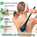 Back Scrubber for Shower, 17-Inch Shower Brush for Men and Women, Long Handle Exfoliating Body Brush, Medium Bristle Stiffness for Dry or Wet