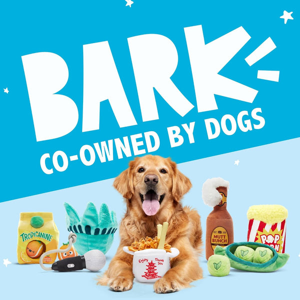 BarkBox Chow Chow Mein Plush Dog Toy - for Small to Medium Dogs and Puppies | Squeaky Dog Chew Toy with Stuffing Inside