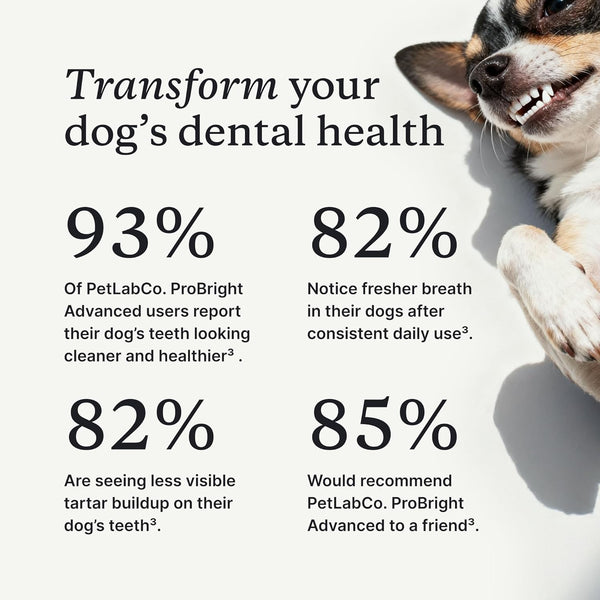 Petlab Co. Probright Advanced Dental Powder - Dog Breath Freshener - Teeth Cleaning Made Easy Ã¢ÂÂ Targets Tartar & Bad Breath - Formulated for