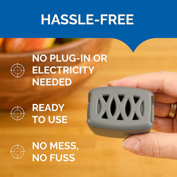Hot Shot Flying Insect Trap, Discreet, Trap Attracts, Captures and Kills House Flies and Fruit Flies, 24/7 Continuous Attraction, No Plug-In or