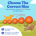 Doggie Dooley Virtually Indestructible Dog Ball - 10 Inch Hard Plastic Interactive Dog Toy for Large Breeds Over 45+ lbs - Built for Herding &