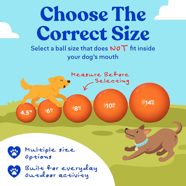 Doggie Dooley Virtually Indestructible Dog Ball - 10 Inch Hard Plastic Interactive Dog Toy for Large Breeds Over 45+ lbs - Built for Herding &