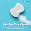 Spongables Pedi Scrub Foot Exfoliating 20+ Wash Sponge, Clean & Fresh, 3 Count Clean and Fresh 1 Count (Pack of 3)