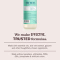 MRS. MEYER'S CLEAN DAY Liquid Dish Soap, Biodegradable Formula, Limited Edition Mint, 16 Fl. Oz - Pack of 3
