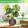 Zeedix 10 Pcs Coconut Fibers Mulch Ring Tree Protector Mat, 5.9 Inch Coco Coir Tree Protection, Tree Ring Mats Tree Disc Plant Cover for Indoor or