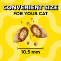 Temptations Classic Crunchy and Soft Cat Treats Shrimpy Shrimp Flavor, 6.3 Oz. Pouch