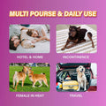 Honey Care All-Absorb Disposable Female Dog Diapers L Size, Improved Bigger Size, 22 Count, Super Absorbent, Breathable, Wetness Indicator,