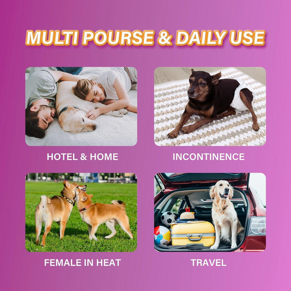 Honey Care All-Absorb Disposable Female Dog Diapers L Size, Improved Bigger Size, 22 Count, Super Absorbent, Breathable, Wetness Indicator,