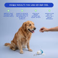 Multivitamin for Dogs 120 Tablets - Glucosamine, Fish Oil & CoQ10 | With Glucosamine, Chondroitin, Fish Oil & CoQ10. Supports joint, skin, heart,