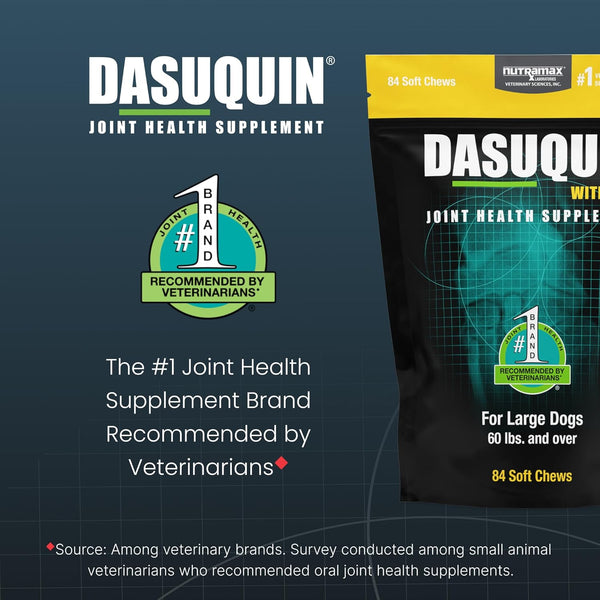 Nutramax Dasuquin MSM Joint Supplement for Large Dogs, Soft Chews, 84ct | Glucosamine and Chondroitin, ASU, MSM, Supports Healthy Joints, For Dogs