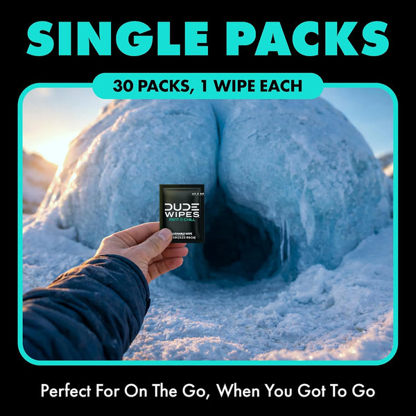 DUDE Wipes - On-The-Go Flushable Wipes - 1 Pack, 30 Wipes - Mint Chill Extra-Large Individually Wrapped Adult Wet Wipes - Eucalyptus & Tea Tree