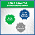 Salonpas Pain Relieving Patch, LARGE, 6 Count, for Back, Neck, Shoulder, Knee Pain and Muscle Soreness, 8 Hour Pain Relief