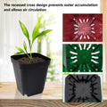 Square Plastic Nursery Pot 3" 120 Pcs Deep Succulent Pots Small Flower Planter Seeds Starter Pots with Drainage (Green,Black,Red 40Pcs Each,2.7Inches)