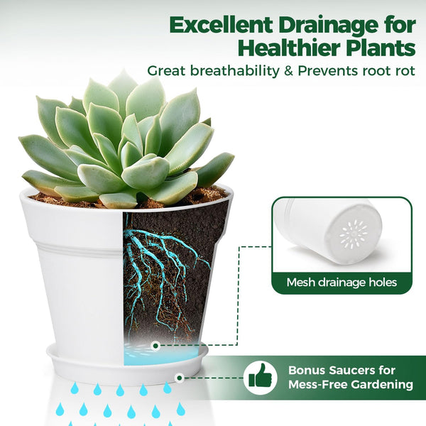 T4U Plant Pots Indoor 6 Inch 8 Pack, Plastic Flower Pots with Saucer White 6 inch White