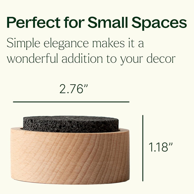 Plant Therapy Lava Rock Passive Diffuser for Essential Oils Great for Decorating