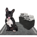 Dogcator Charcoal Dog Training Pads 100 Count, 22"x22" Puppy Pee Pads for Small Dogs, Activated Carbon Dog Pee Pads, Disposable Puppy Pads Pet