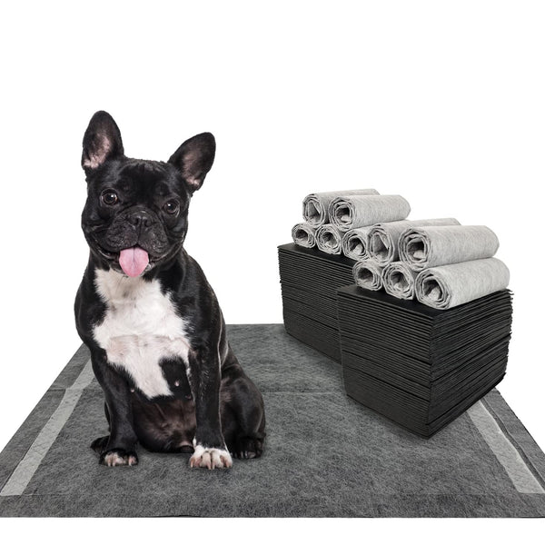 Dogcator Charcoal Dog Training Pads 100 Count, 22"x22" Puppy Pee Pads for Small Dogs, Activated Carbon Dog Pee Pads, Disposable Puppy Pads Pet