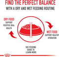 Royal Canin Feline Health Nutrition Sensitive Digestion Adult Dry Cat Food, 3.5 lb Bag 3.5 Pound (Pack of 1)