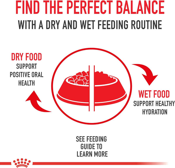 Royal Canin Feline Health Nutrition Sensitive Digestion Adult Dry Cat Food, 3.5 lb Bag 3.5 Pound (Pack of 1)