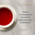 Rishi Tea Blueberry Hibiscus Organic Herbal Tea Bags, Caffeine Free, 15ct Blueberry Hibiscus 15 Count (Pack of 1)