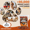 BRUTUS & BARNABY Sweet Potato Dog Treats- No Additive Dehydrated Sweet Potato Fries, Grain Free, Gluten Free and No Preservatives Added (14 oz) 14